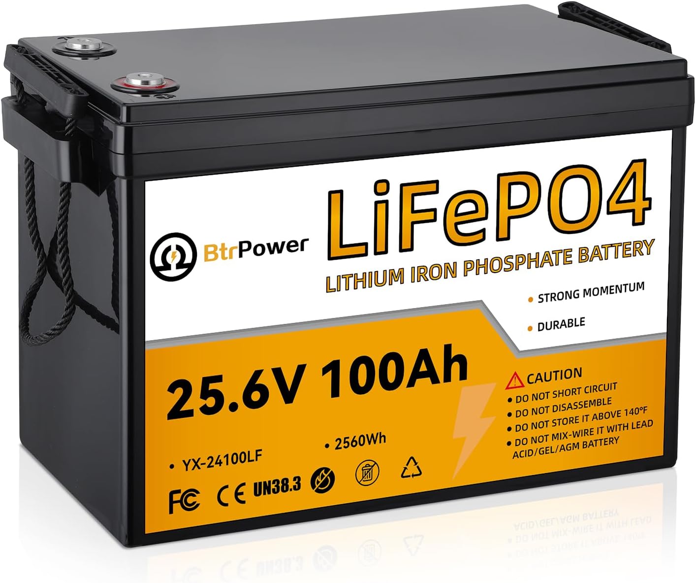 24V 100Ah Lithium LiFePO4 Battery,8000+ Deep Cycle LiFePO4 Batteries, Built-in 100A BMS,2560Wh Energy,Perfect for Home Storage and Off-Grid,Camping,Solar,Bankup Power etc.