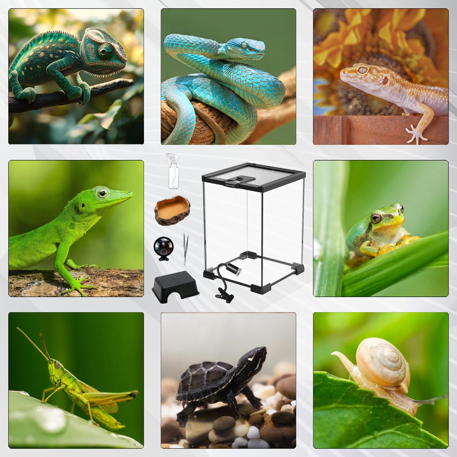Set de Terrario, Terrario Reptiles de Vidrio de 20 x 20 x 30 cm Kit de Terrarios con Lámpara para Reptiles Termómetro Tanque Pequeño con Diseño de Piedras Comedero Pinzas y Regadera Pequeña