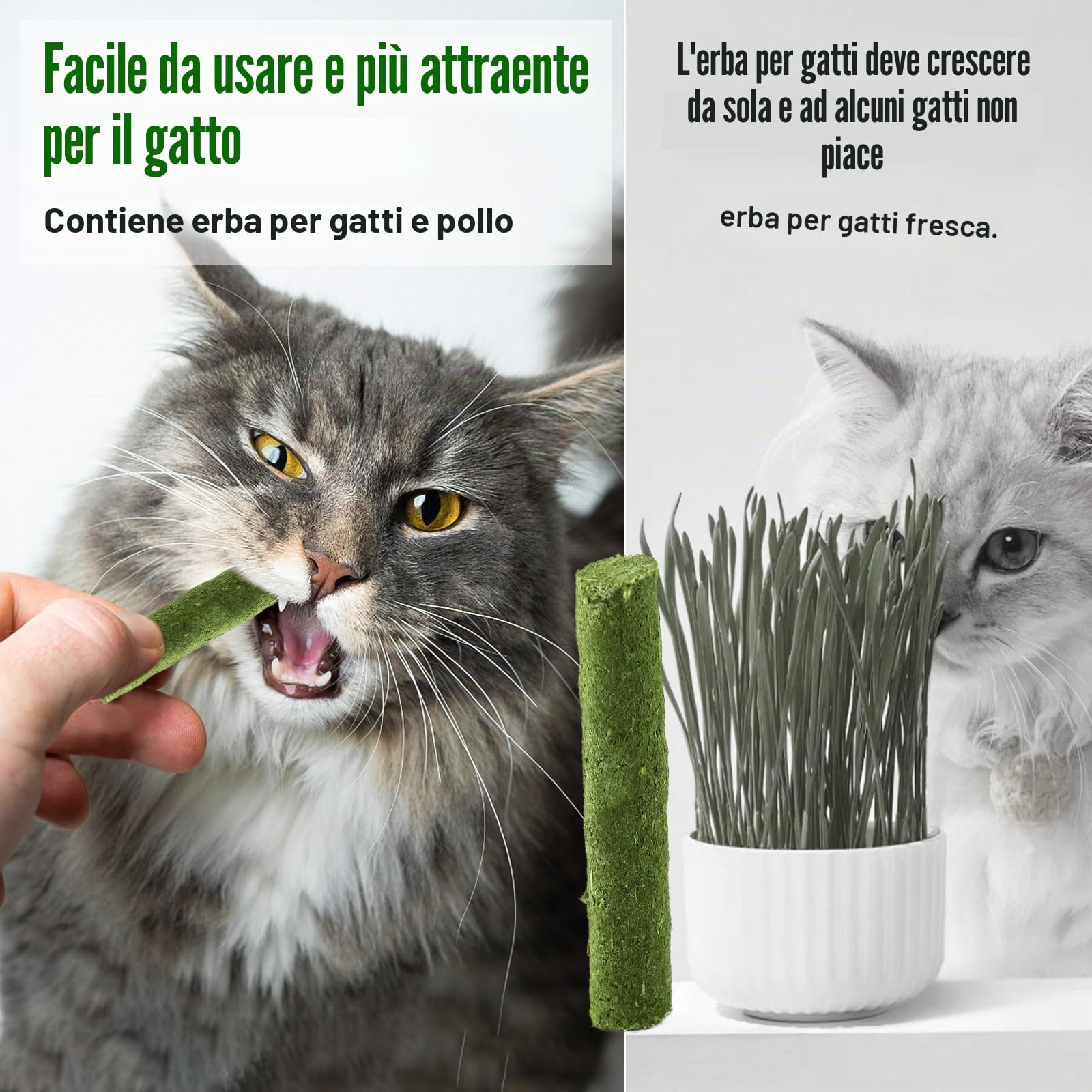 120g Erba Gatta Bastone Di Dentizione Palle Di Pelo, Bastoni Da Masticare Per Gatti, Erba Gatta Giocattoli Bastoni Da Masticare Gattino Da Interno Bastone (120g)