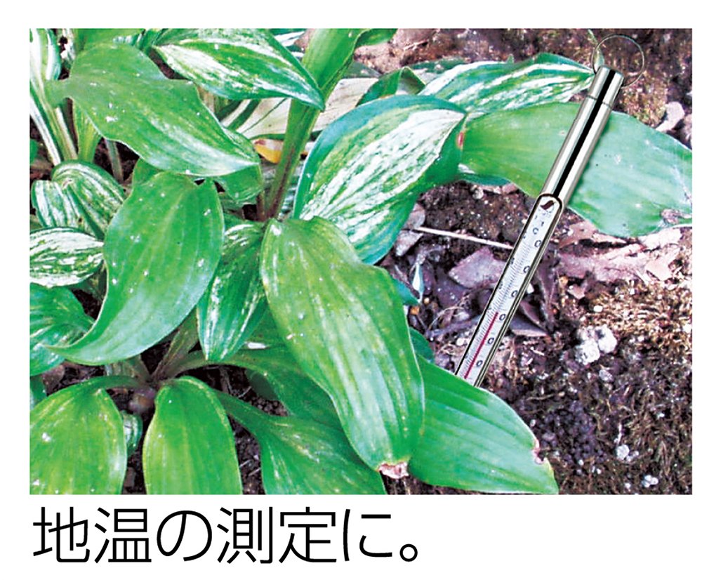Amazon.co.jp: シンワ測定(Shinwa Sokutei) 棒状温度計 H-4S
