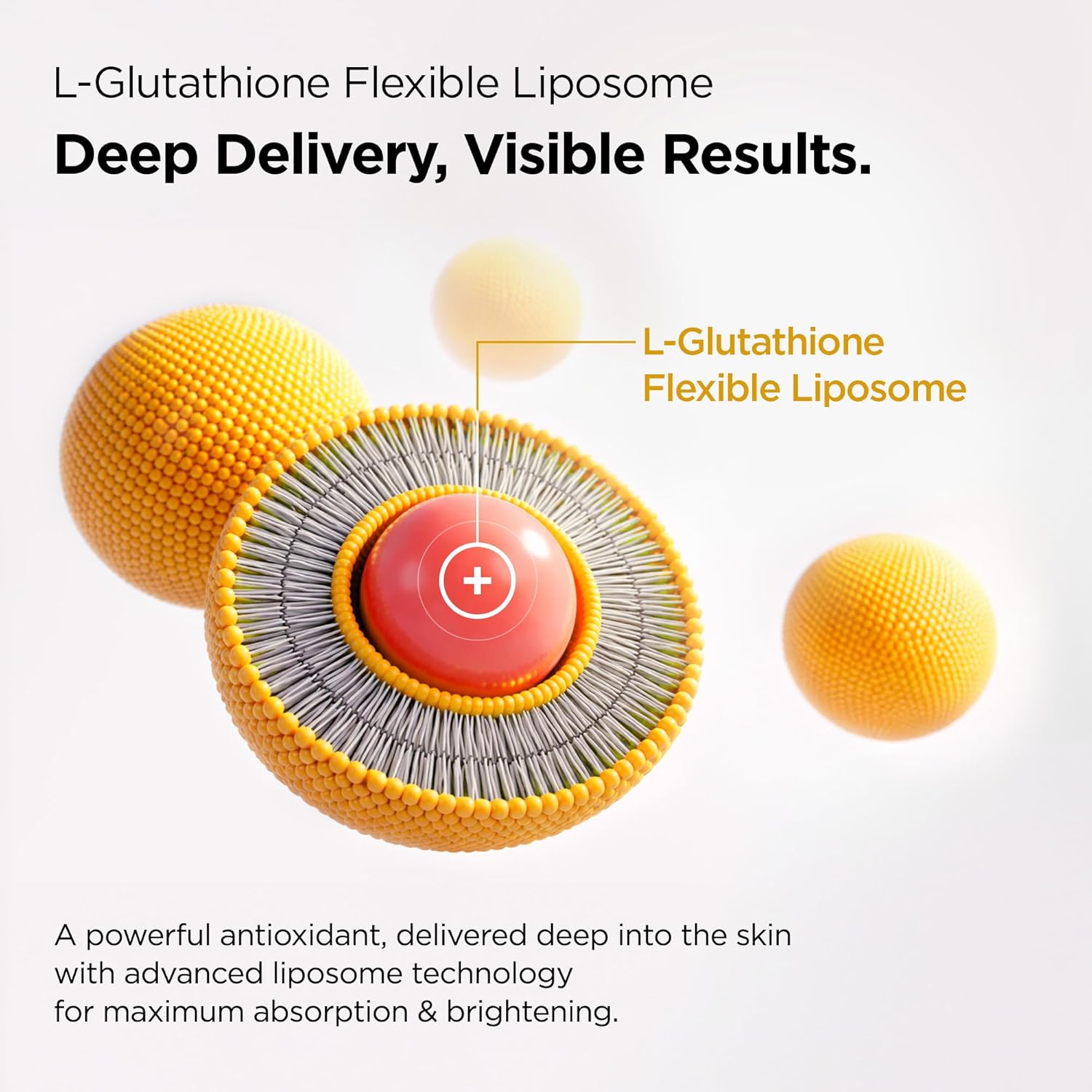 L-Glutathione Vitamin Boosting Toner – infused with Niacinamide, Tocopherol & Vitamin C for Brightening and Hydrating Skin (5.07 fl oz / 150 ml) - Image 6