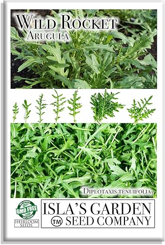 Semillas de rúcula Wild Rocket para plantar, más de 1000 semillas de reliquia por paquete, semillas de jardín de Isla (semillas de jardín de Isla),