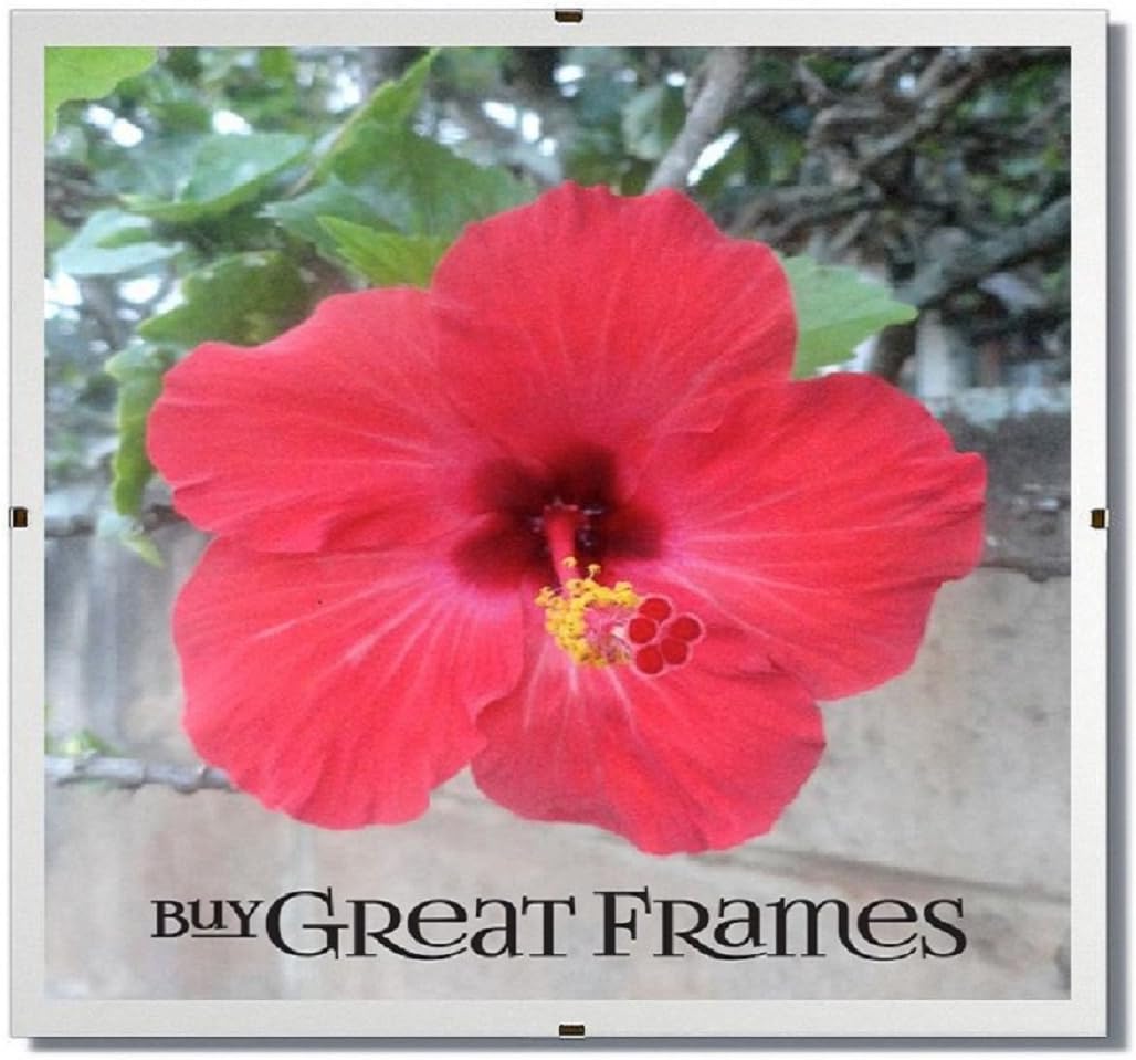 SET of 6 GREATCLIP 12x12 Square Glass and Clip Frames