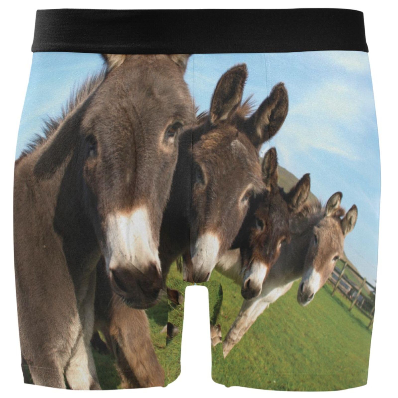 ZZXXB Funny Happy Birthday Mens Boxer Briefs Breathable Underwear Fly Front With Pouch S - XXL