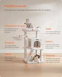 Ver la foto 4