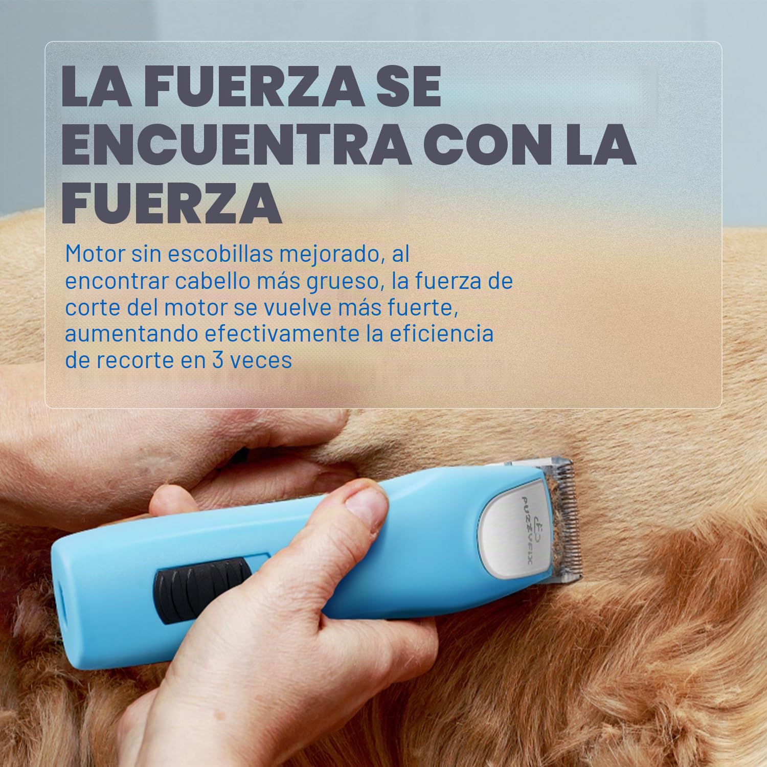 Cortapelos Profesional, Máquina de Cortar Pelo para Perros Ergonómica de 2 Velocidades, para Pelo Largo y Enmarañado, Azul