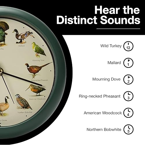 Miniatura 5 de Mark Feldstein, reloj cantando aves de caza salvaje de América del Norte, 8 pulgadas, verde