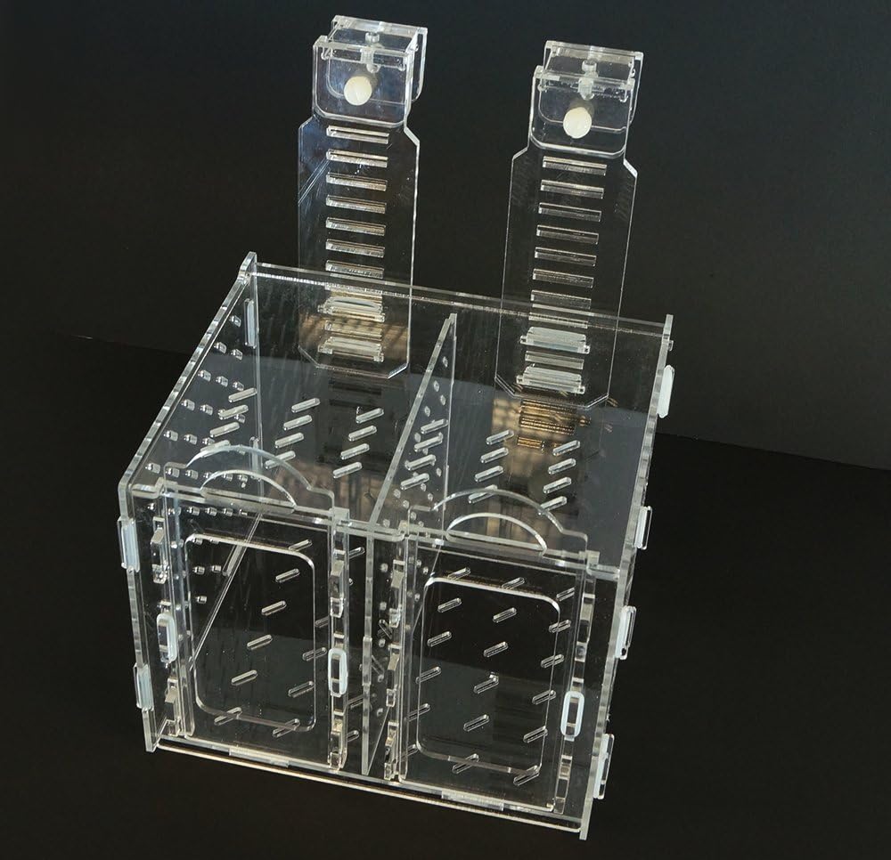 Collapsible RF-200C Acclimation Box