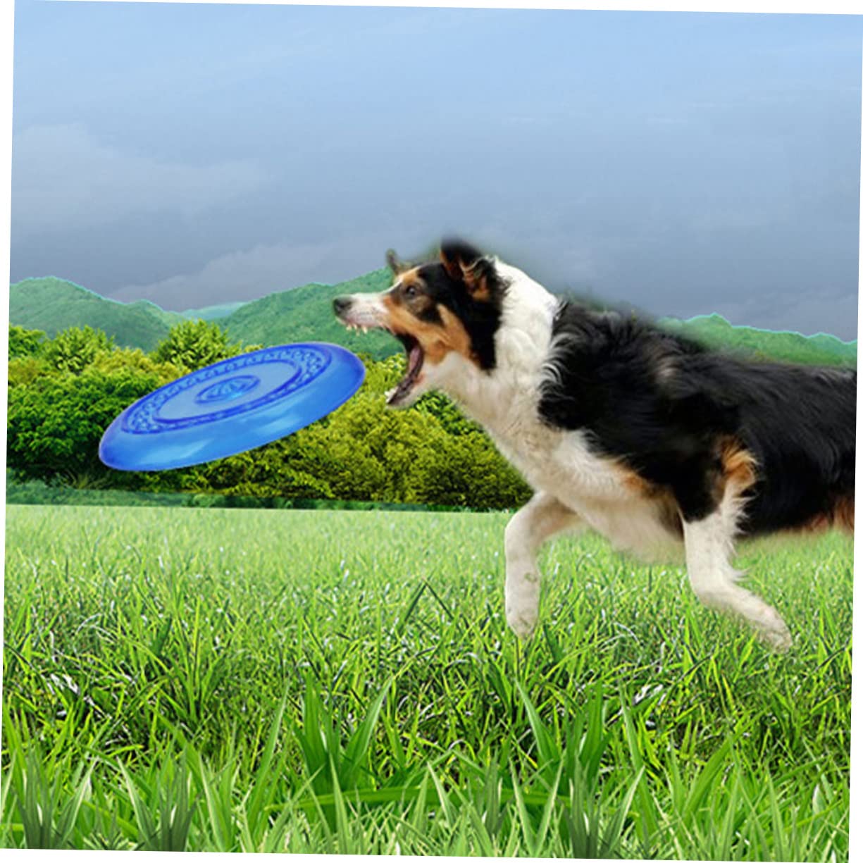 Didiseaon Giocattolo per Cani a Disco da Lancio 2pezzi Tpr Blu | Set da 2, Forma Disco, Adatto a Pet e Cuccioli, Morbidezza Elevata, Uso All'aperto