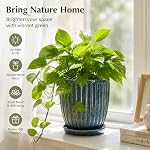 6 Inch Ceramic Plant Pots with Drain Hole & Saucer, Ceramic Pots for Indoor Plants - Succulent, Snake Plant, Money Tree, Aloe Vera, Basil Planter(Glaze Blue)