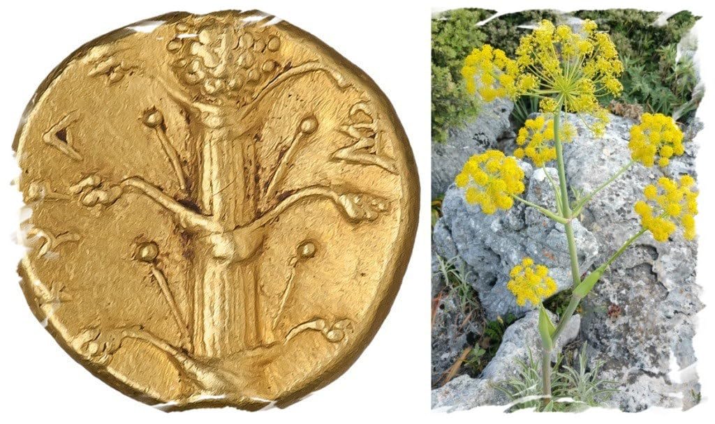 Silphium Garum X Reedición de la antigua salsa romana 280 ml