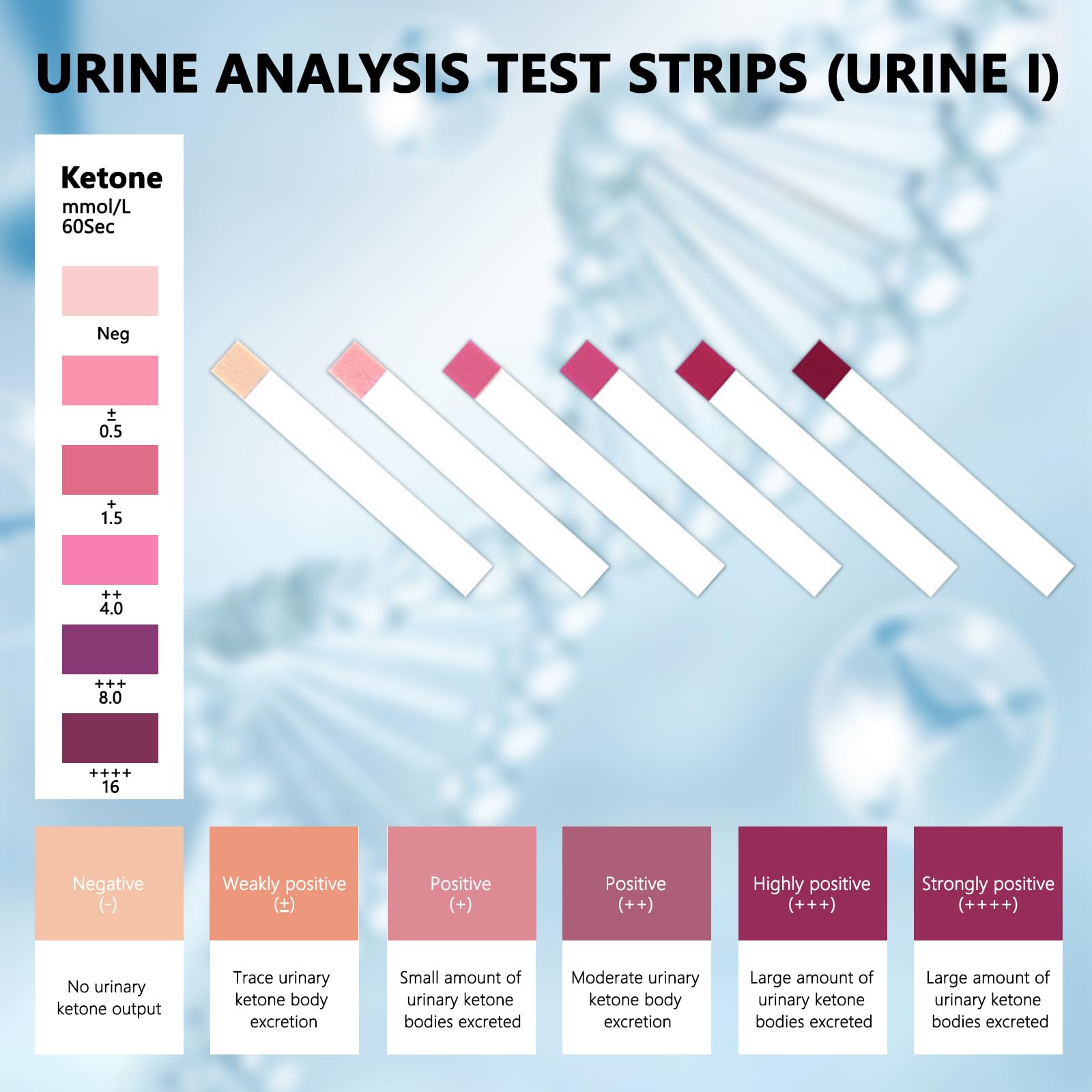 Urin Ketose Teststreifen URS-1K, 100 Streifen Keton Teststreifen Home Ketosis Tests Analyse Professionelle schnelle Tests