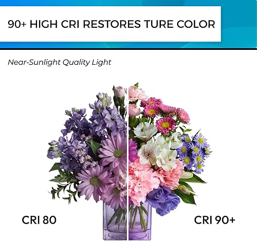 Miniatura 5 de Hizashi Bombilla LED E12 de 5000 K, luz diurna de 60 W, bombillas LED de candelabro no regulables, 90+CRI 6W 600LM, bombillas de vela B11,