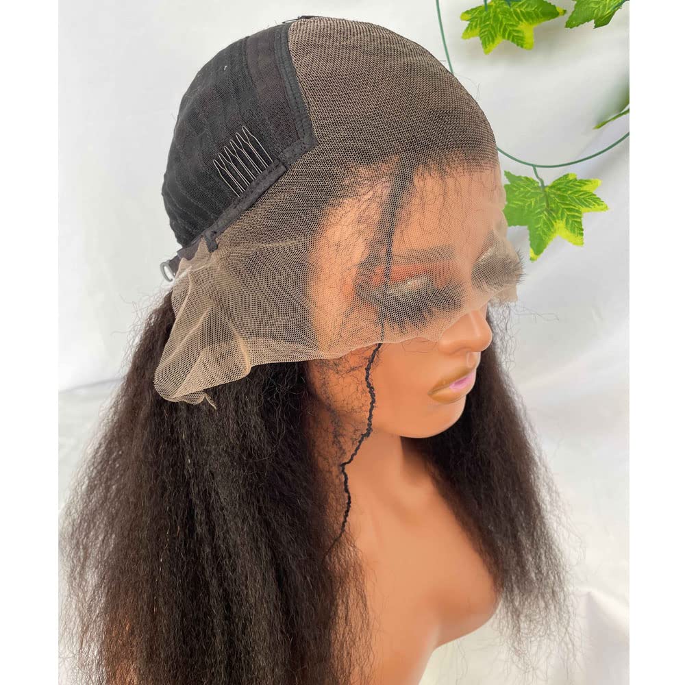 250% High Density Kinky Straight Lace Front Human Hair Wigs Brazilian Human Hair Lace Front Wig with Baby Hair for Women Natural Color (22 inch)