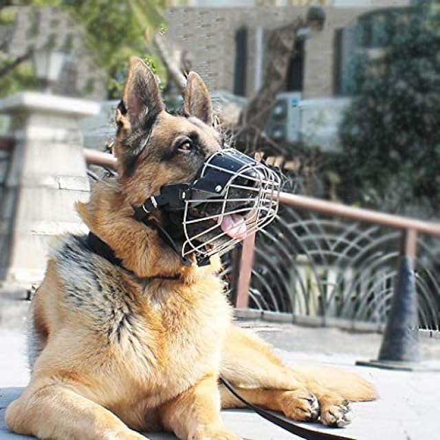 Foto 4 de 6 de Bozal Para Perro Basket Para Perros Grandes, Máscara De Metal De Acero Inoxidable Para Perros De Compañía