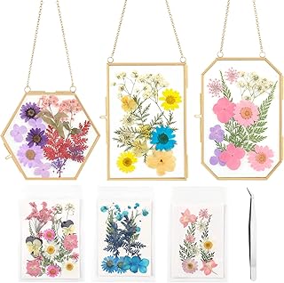 Lujechii 3 Pcs Double Glass for Pressed Flowers,Clear Brass Embossed Frame with Dried Flowers