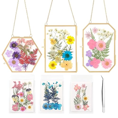 Lujechii 3 Pcs Double Glass for Pressed Flowers,Clear Brass Embossed