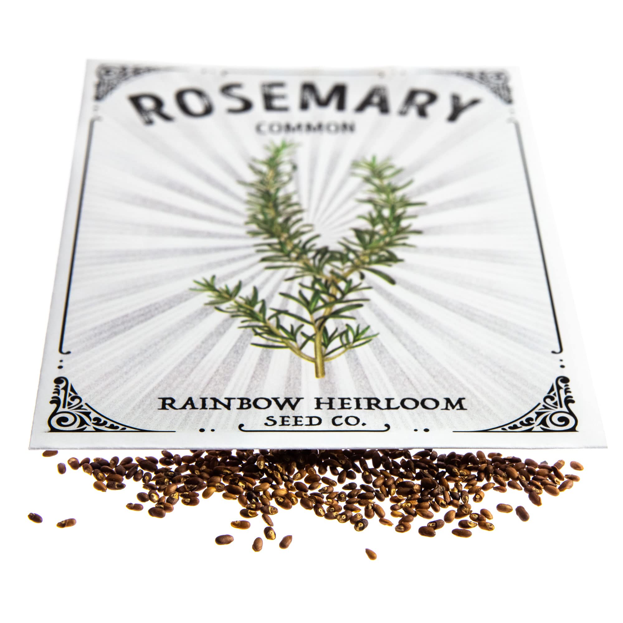 Amazon.com: 種植迷迭香種子| 常見品種(400 毫克包- 大約200 顆種子) | 非基因改造和傳家寶種子| 彩虹傳家寶種子公司的插圖種子包:  露臺、草皮與花園