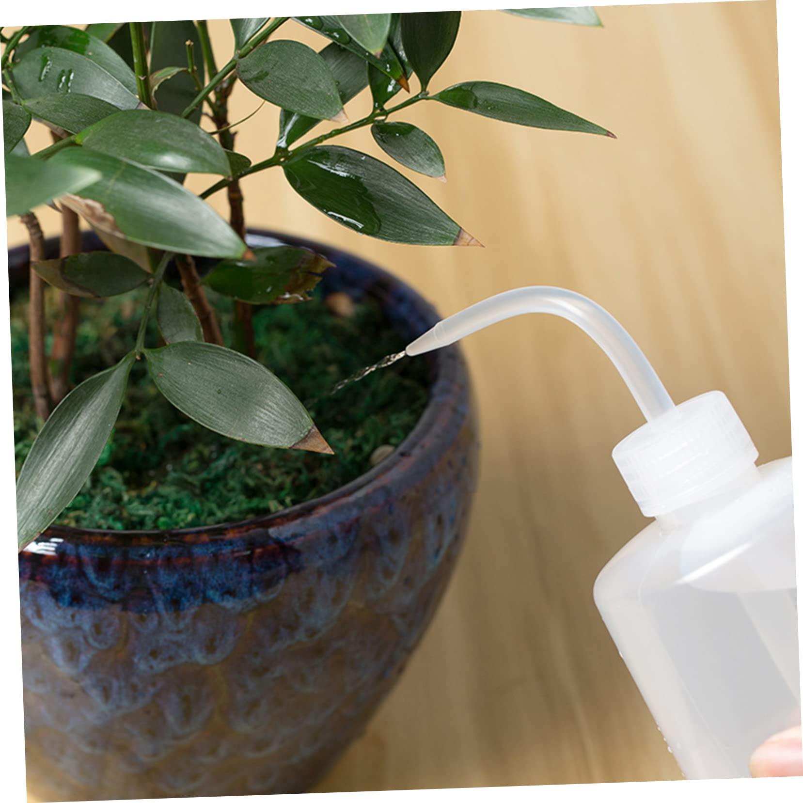 MAGICLULU 2 Sätze Wasserkocherreinigungsflasche Gießen Anlage Flaschen Quetschen Pflanzenmeister Tragbare Quetschflasche Schmale Wasserflasche Plastik Weiß Wiederverwendbar 6 Stück * 2