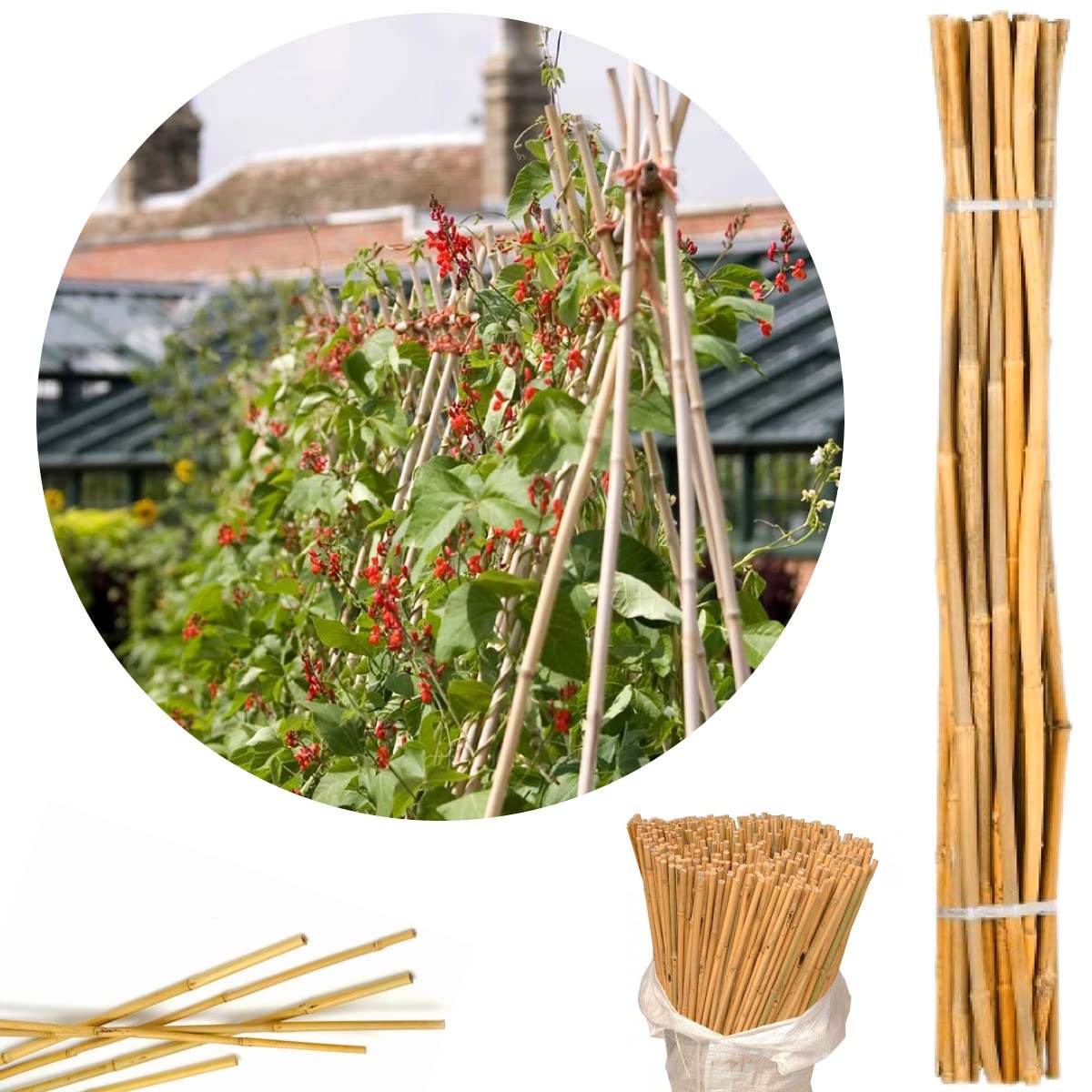 2FT 3FT 4FT 5FT 6FT 7FT Natural Heavy Duty Professional Bamboo Canes Strong Thick Quality Plants Flowers Support Pole Sticks (10, 5FT)