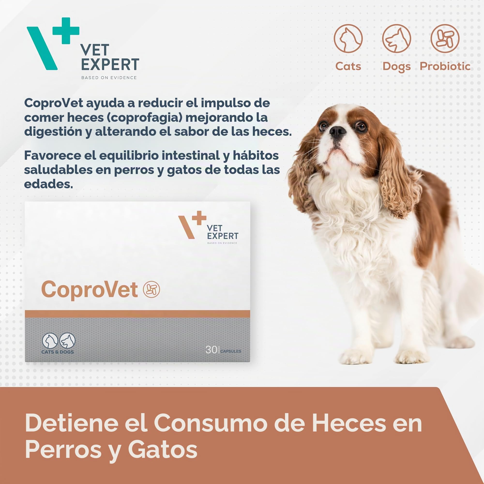 VET EXPERT COPROVET - Antiheces para perros y gatos