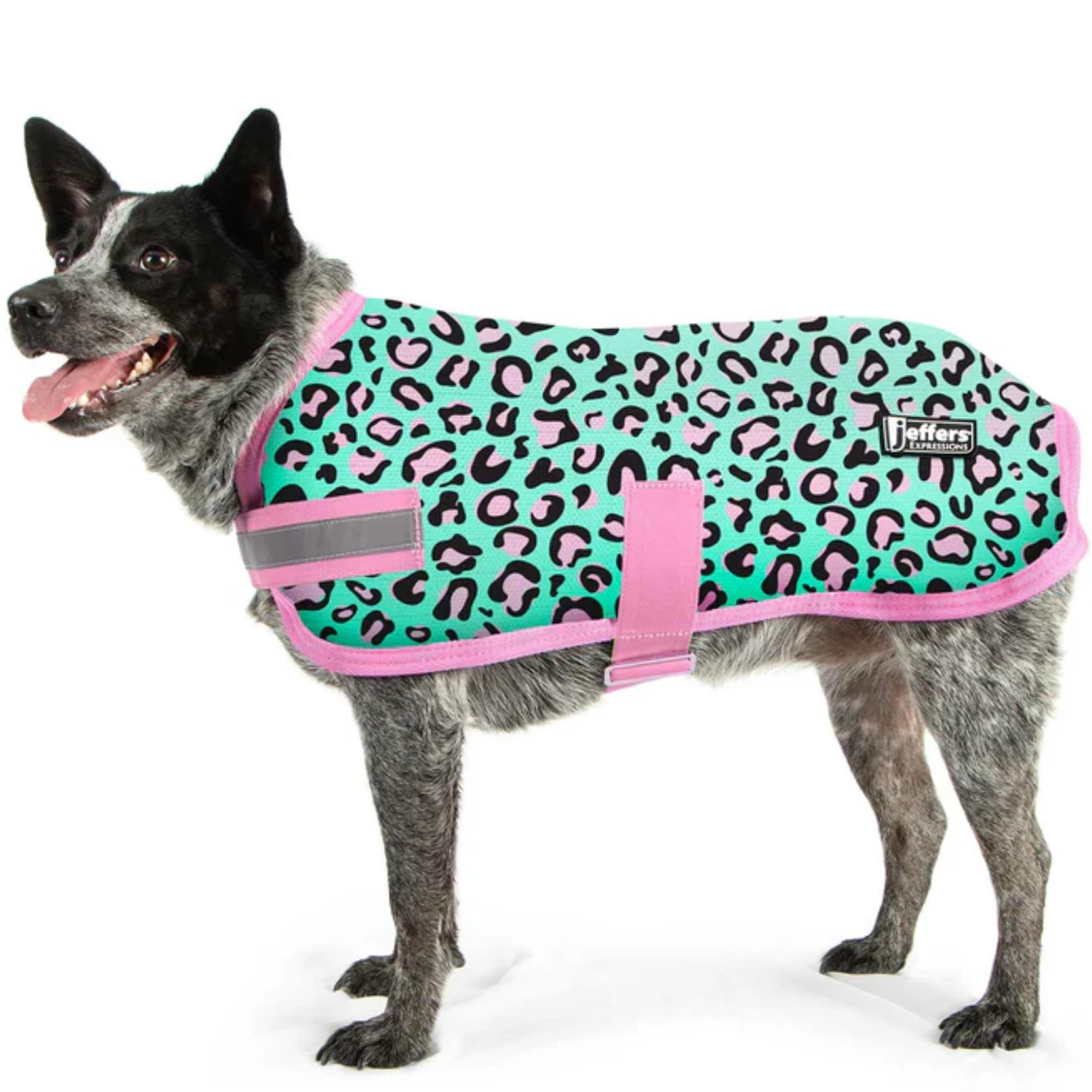 Jeffers Expression Dog Blanket, Party Cheetah, 28