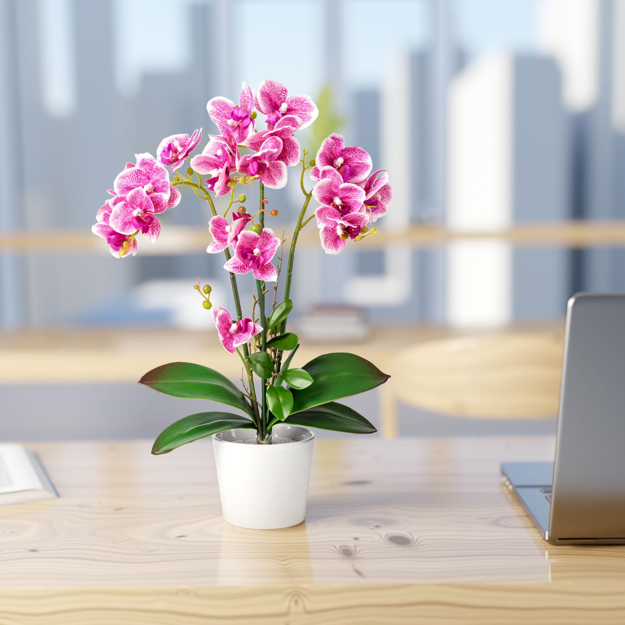 PASCH® Orchidee artificiali in vasi di ceramica lucida (46 cm), fiori artificiali come reali, fiori artificiali in vaso (bianco-rosa)