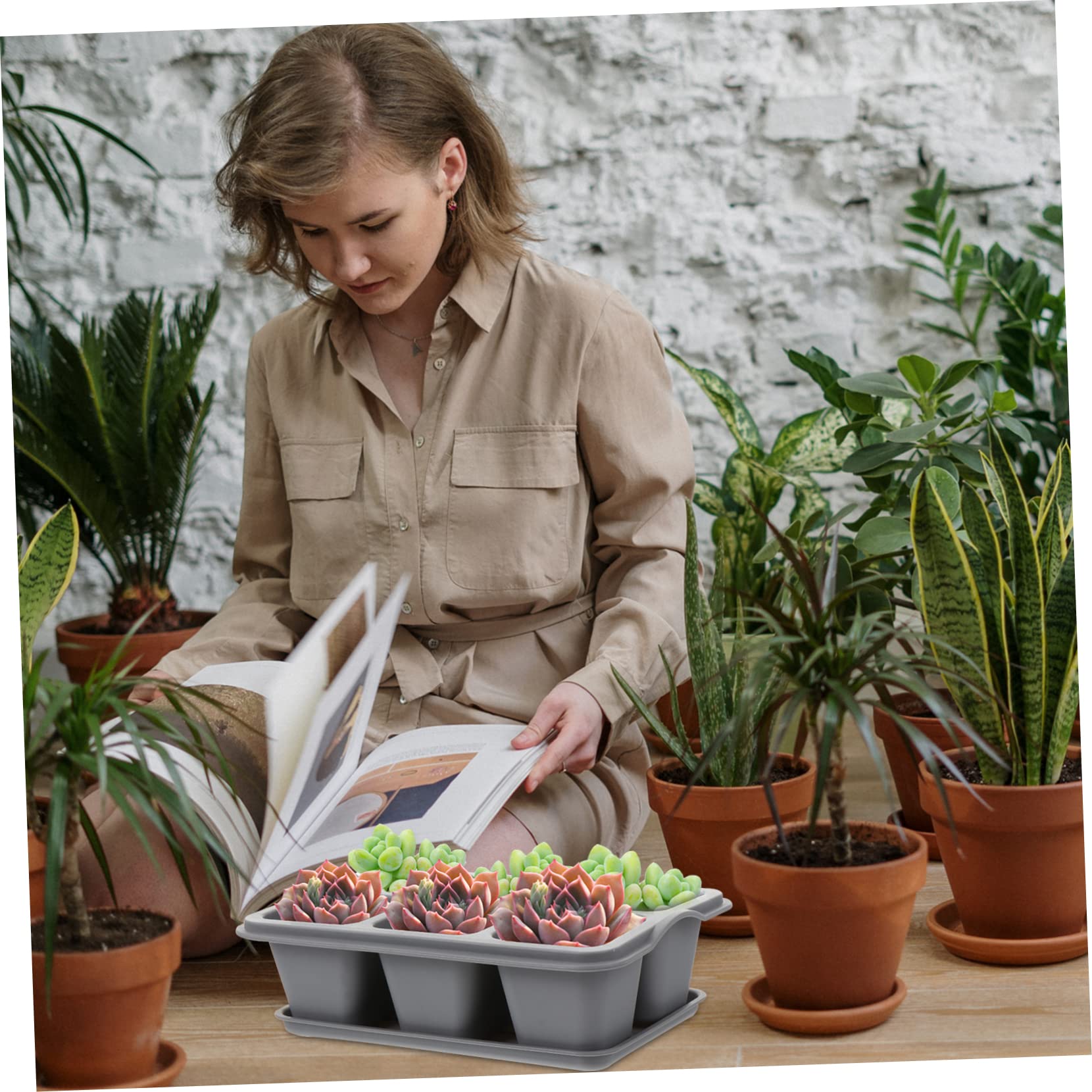 TOYANDONA 2 Series Recipiente De Vivero De 6 Rejillas para Suculentas Ideal para Cultivar Semillas De Hortalizas Germinar Plantas De Jardín Macetas para Suculentas Y 4 Piezas