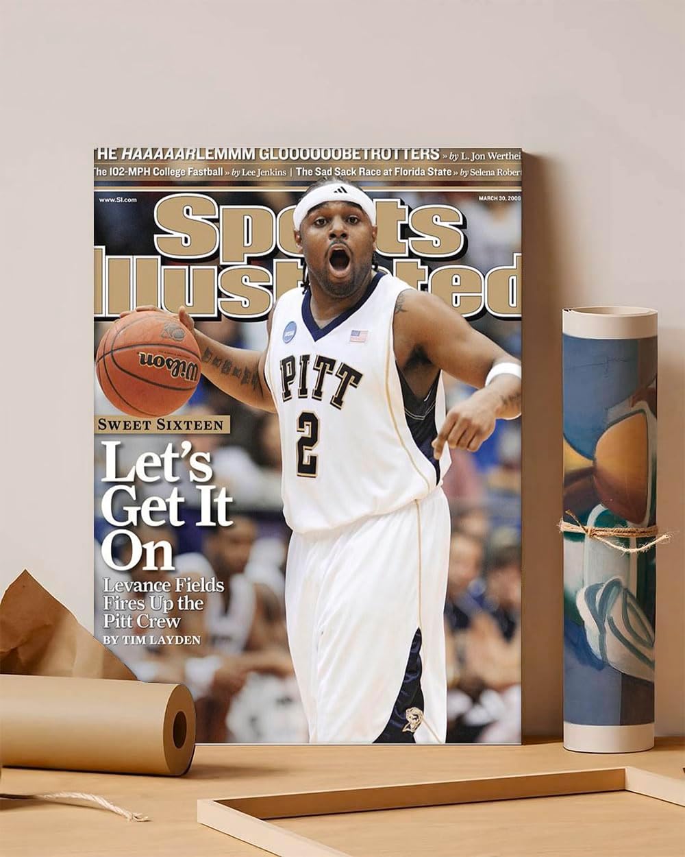 GADGETS WRAP Canvas Gallery Wrap Framed for Home Office Studio Living Room Decoration (11x14inch) - Pittsburgh Levance Fields