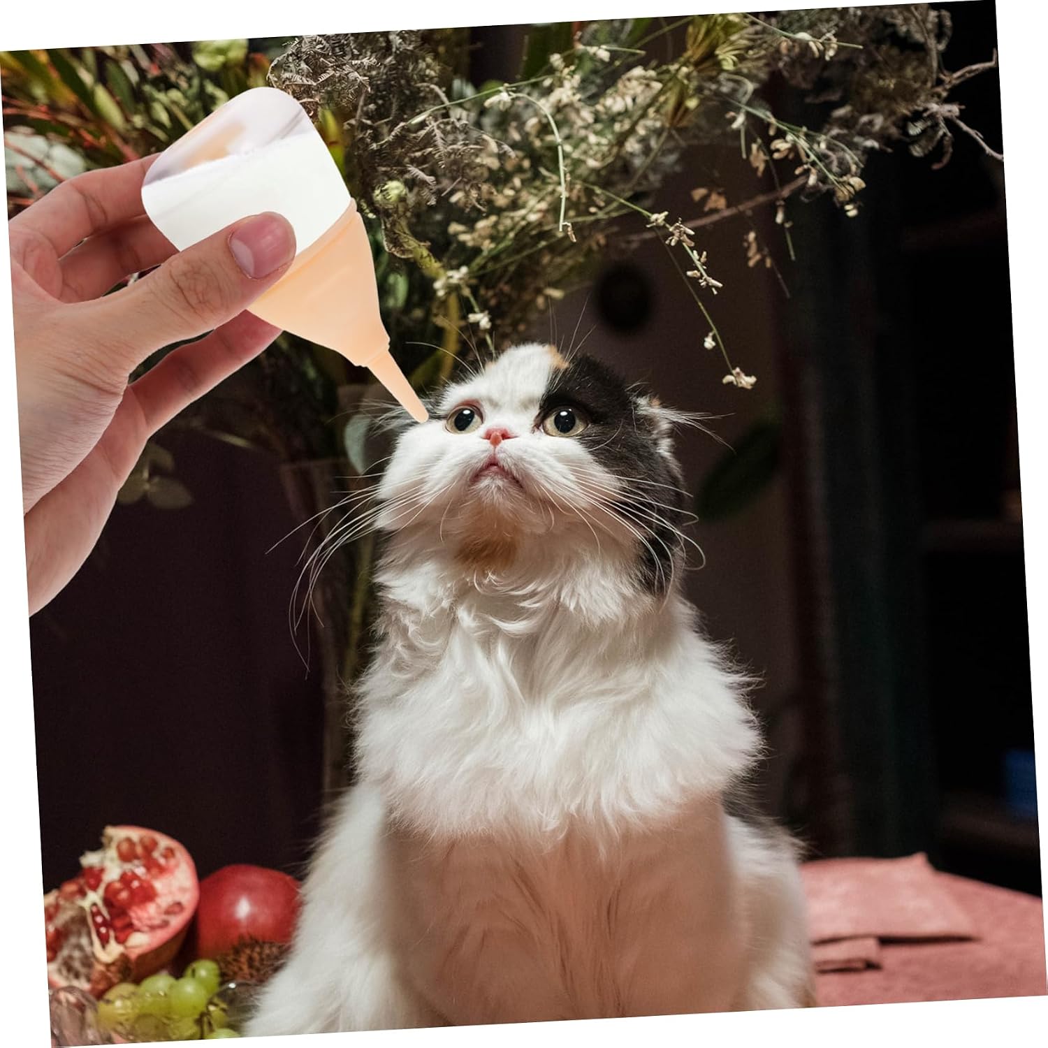 PET Nursing Bottle Set for Kittens and Puppies Newborn Milk Feeder Soft Nipple 3oz Small PET Feeding Tool for Cats and Dogs