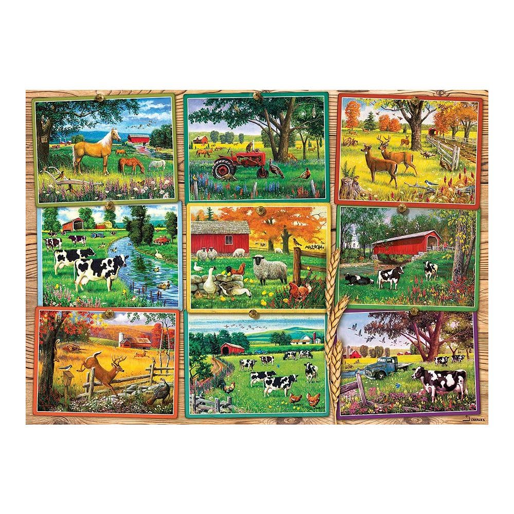 Amazon.com: Cobble Hill 1000 Piece Puzzle - Postcards from the