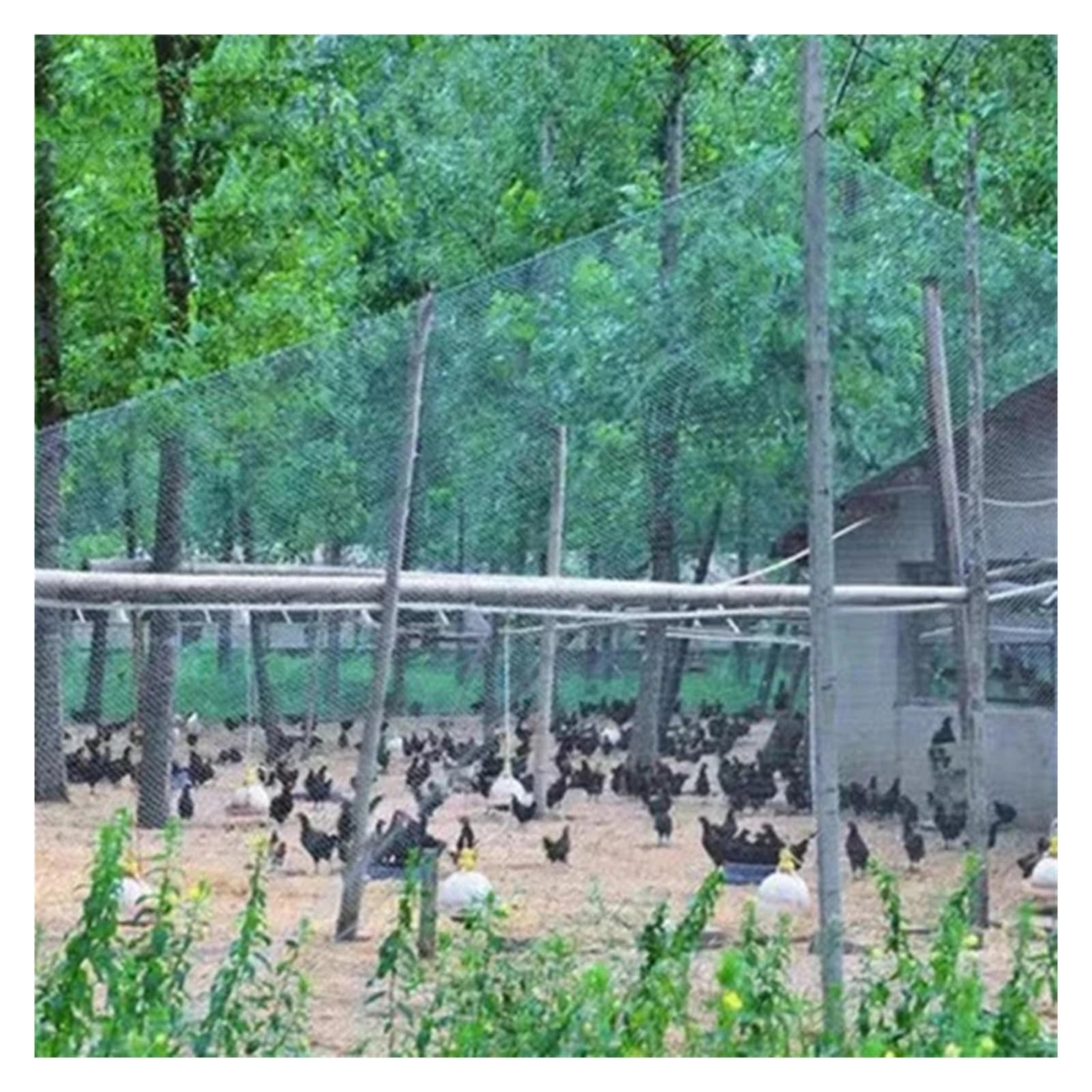 Red de nailon para pájaros para árboles frutales y verduras, 4 x 10 m, red antipájaros, fuerte protección de malla fina para fresas, jardín y defensa de cultivos