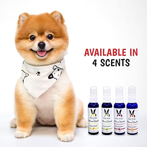 Miniatura 7 de Warren London Wet Kiss - Aerosol de colonia para perros, leche y miel, eliminador de olores de 2 onzas y ambientador para perros y gatos