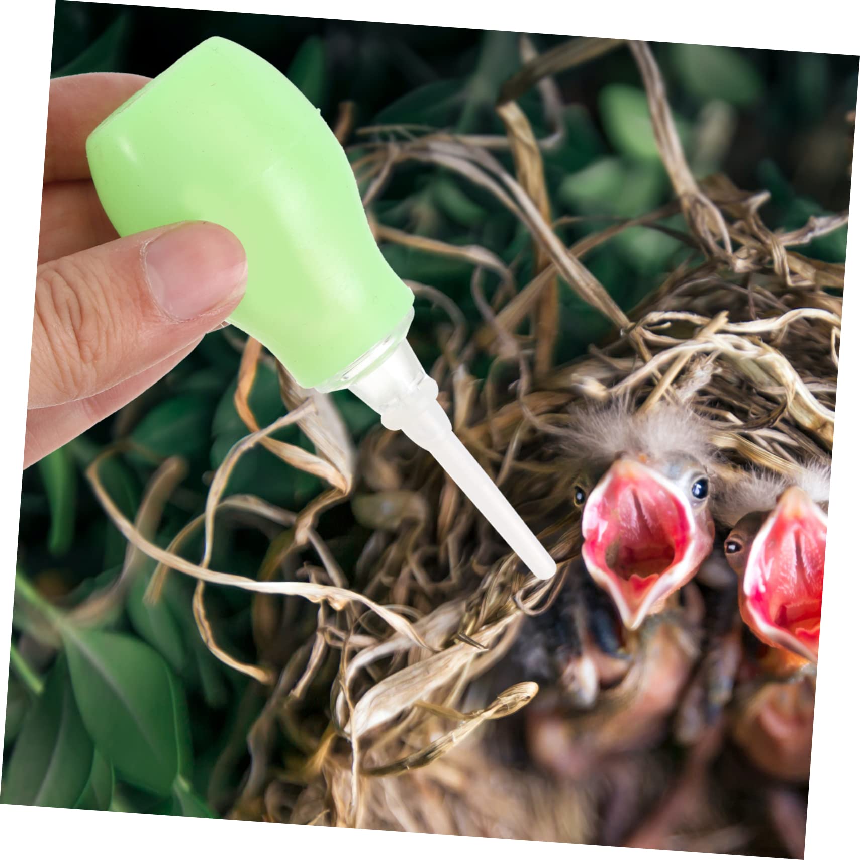 2 Pcs Pigeon Rehydration Device Pet Weaner Squab Weaning Feeder Pigeon Keeping Supplies Bird Weaning Tool Animal Weaning Supplies Pigeon Weaning Tool Pigeon Weaner Squab Weaner