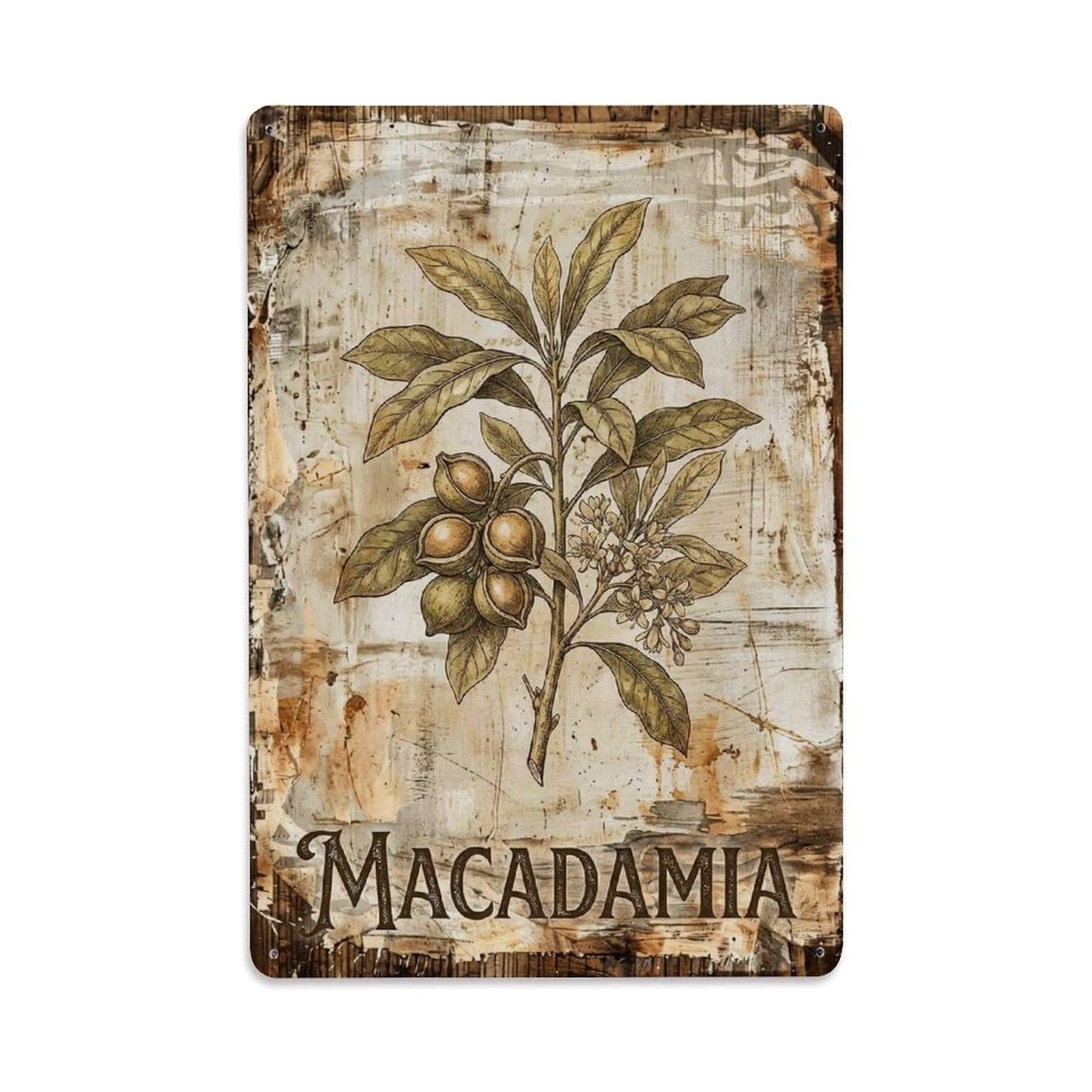 Macadamia Tree Nut 1 Vintage Metal Tin Sign Plaque Wall Decor for Cafe, Club, Garden Metal Poster 8x12Inch