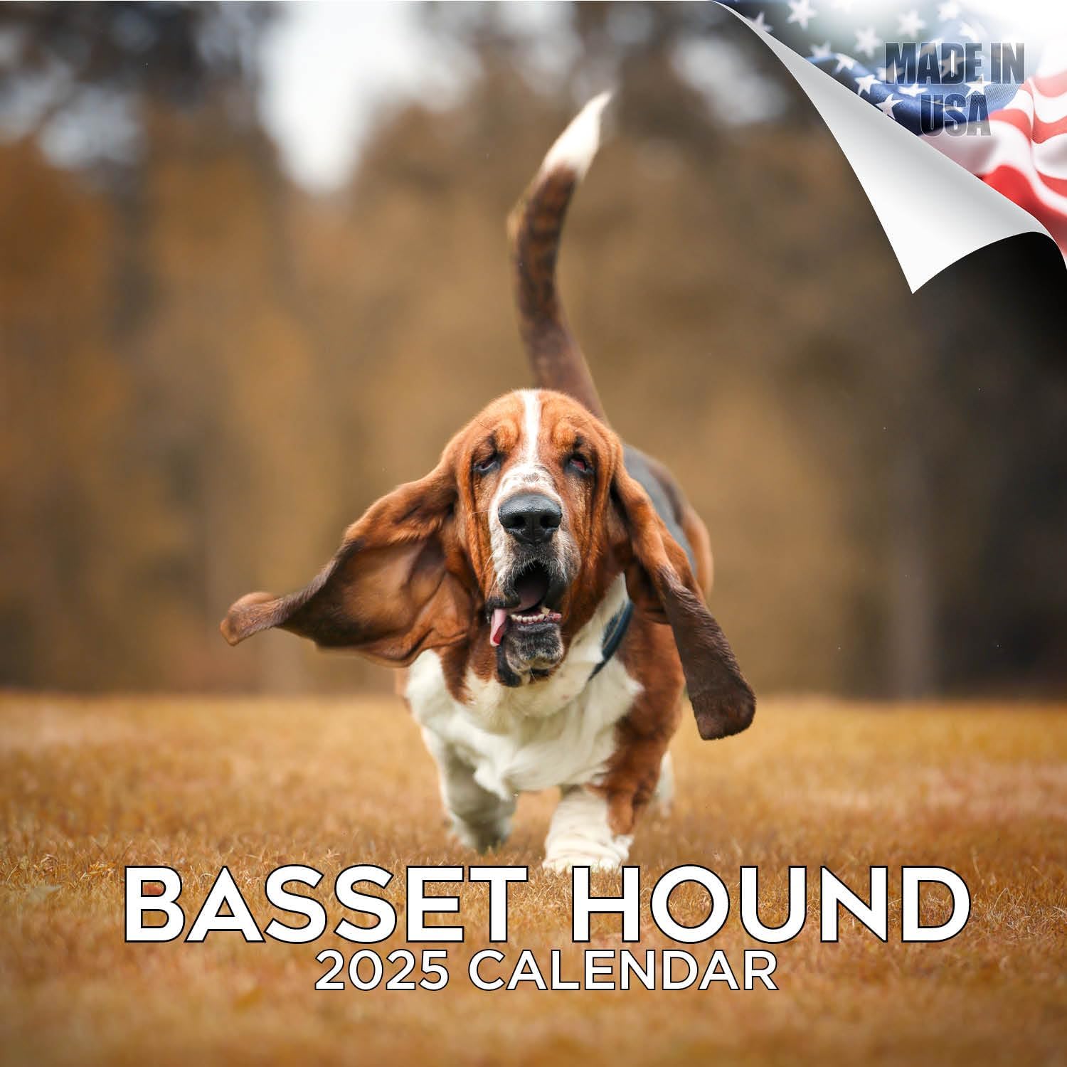 Basset Hound Calendar 2026-2027, 16-Month 12x12 Wall Calendar