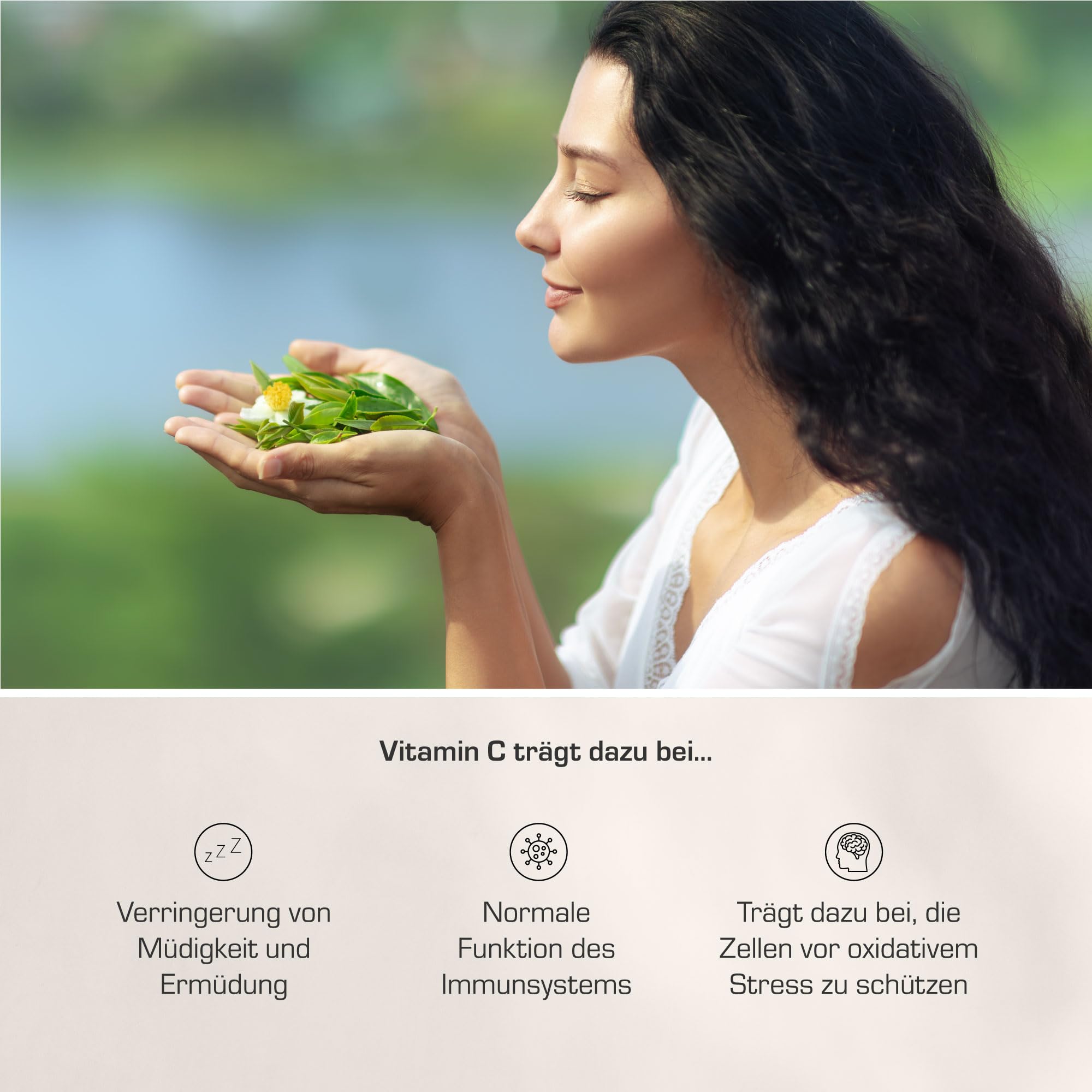 Purabyo BIO Grüntee Plus C | im Glas | Grüntee Extrakt mit 25% Polyphenolen | mit Bio Acerola C | Natürlicher EGCG Gehalt | vegan, laborgeprüft und in Deutschland hergestellt
