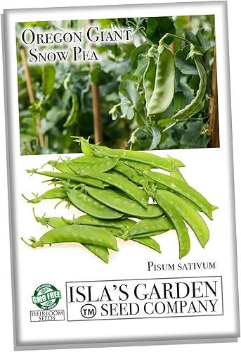 Miniatura 2 de Semillas de guisantes de nieve gigantes de Oregon para plantar, más de 25 semillas de reliquia por paquete, semillas de jardín de Isla (semillas de