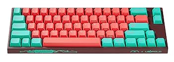 Amazon.com: Leopold x MK FC660M Vapor 65% Double Shot PBT