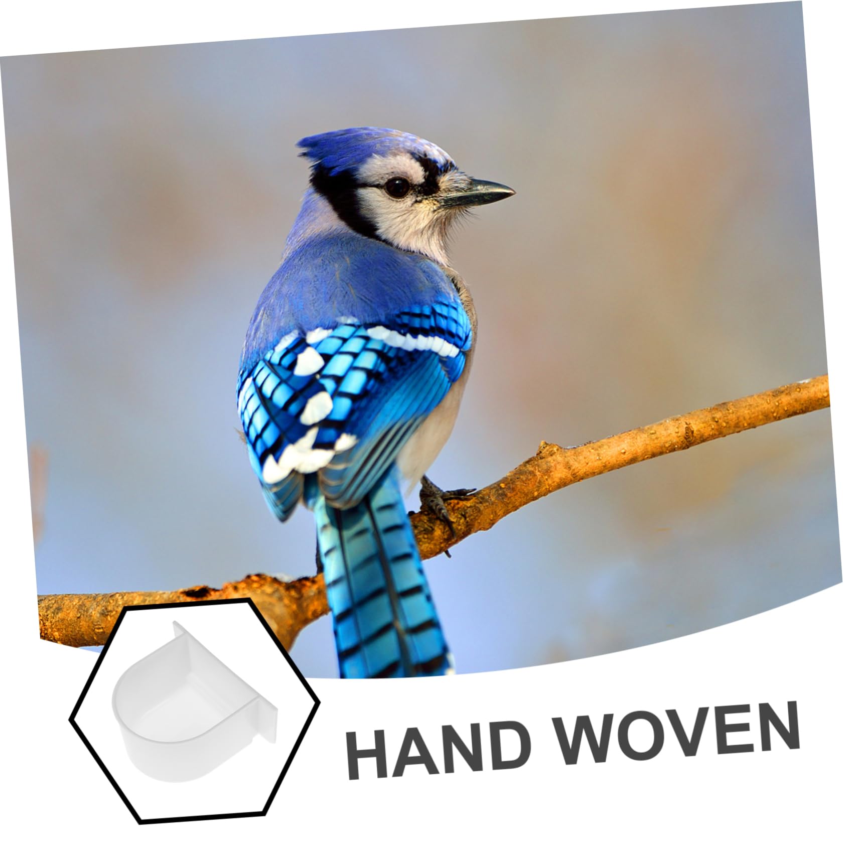 Yardwe 20 Pièces Abreuvoir à Oiseaux de Nourriture pour Cage à Oiseaux mangeoire à de pour de Nourriture pour