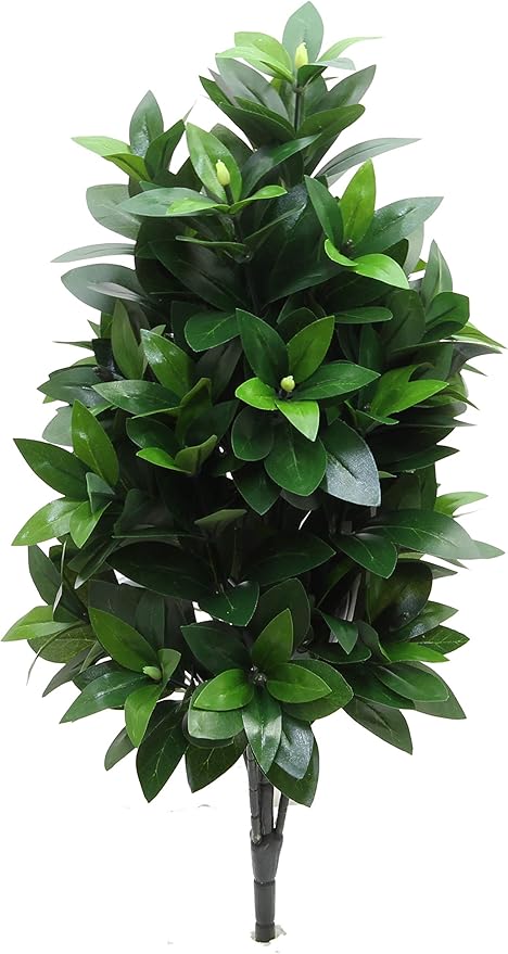 Amazon まるで本物 しきみ 樒 しきび 造花 約60cm 1本 創価学会 会館仕様 光触媒 抗菌 消臭 型崩れ防止専用箱入り 造花 オンライン通販