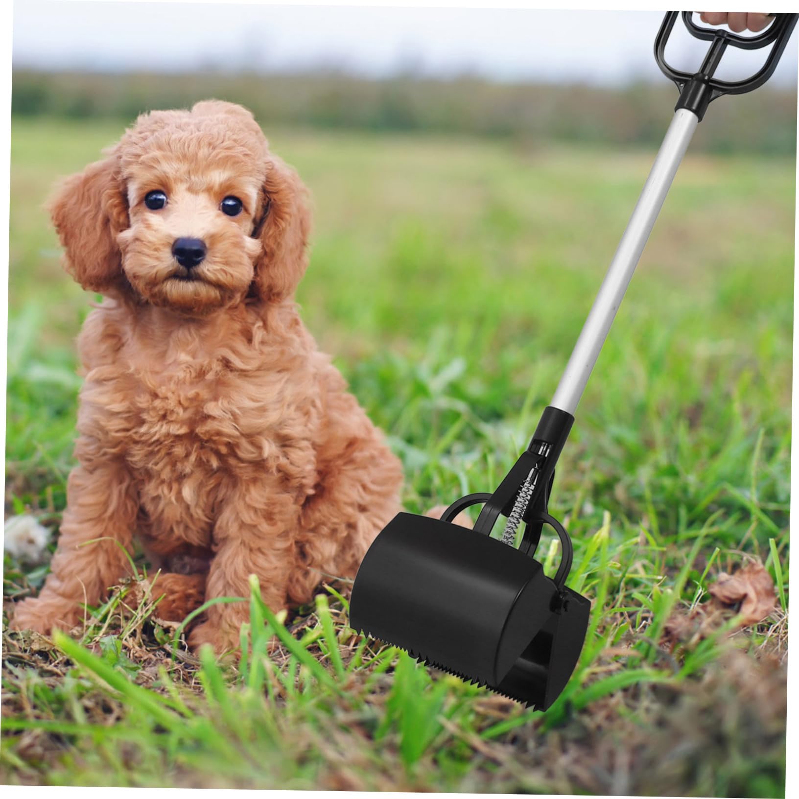 BESTonZON Ramasse-excréments Portable pour Chien et Chat en Plastique Léger, Facile à Transporter, Outil de Nettoyage des Déjections Animales pour Usage Extérieur Couleur Aléatoire