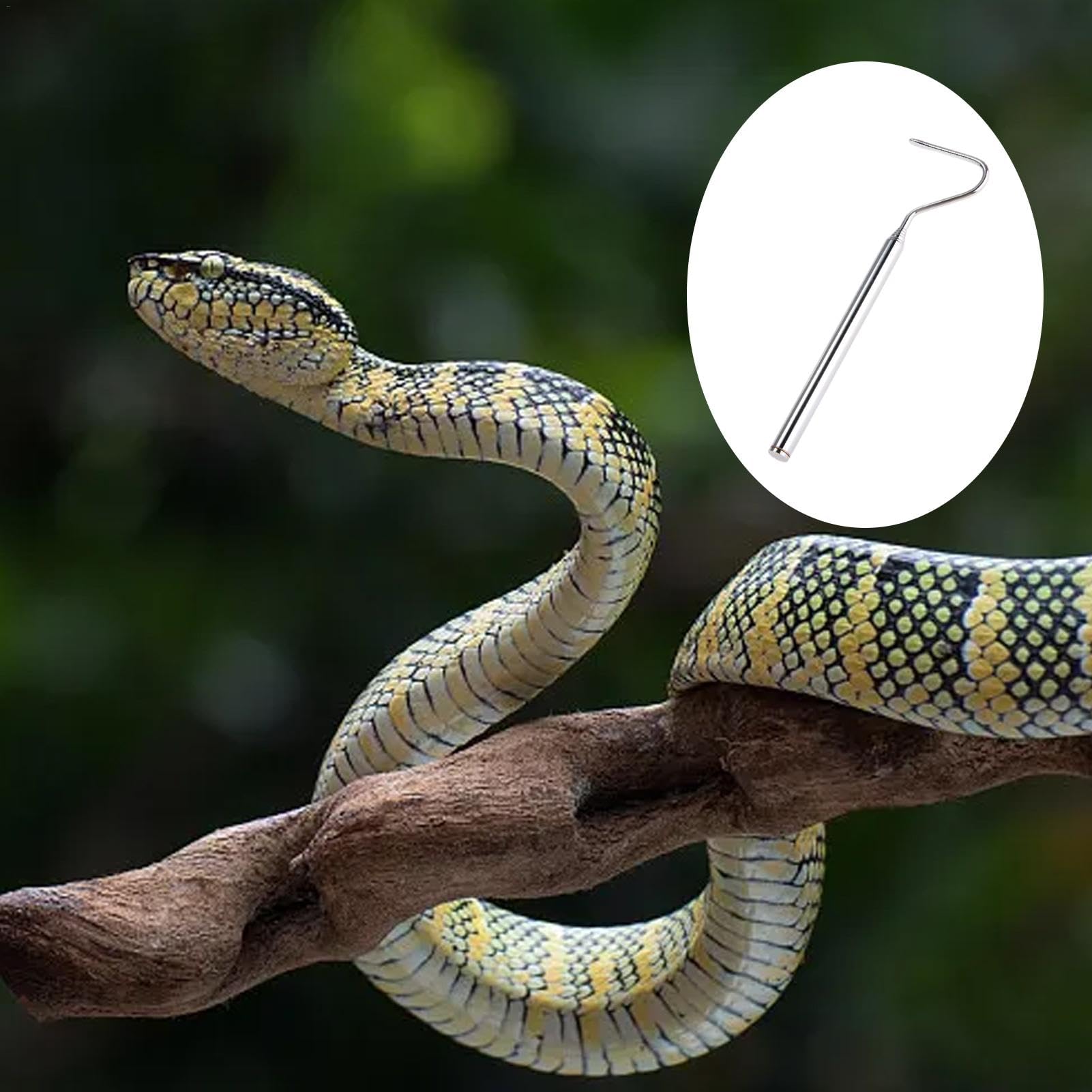 Schlangenfänger – Teleskop-Fangwerkzeug für Reptilien, professionelles Schlangen-Greifwerkzeug, Handschlangenhaken mit einzigartigem Design, 16–68 cm langes Reptilienhandhabungswerkzeug für