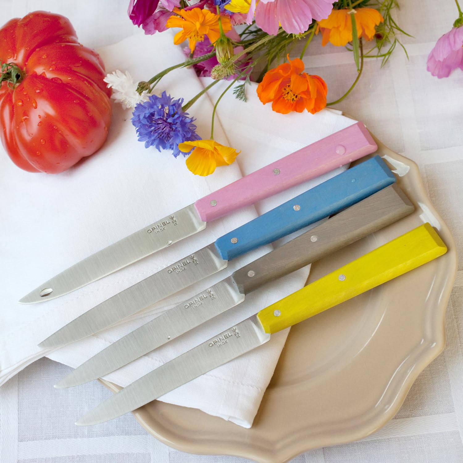 Opinel - Scatola di 4 Coltelli da Tavola N°125 Bon Appétit Campagne - Lama in Acciaio Inossidabile - Manico in Carpino - Fabbricazione Francese - Rosa, Grigio, Tiglio e Azzurro.