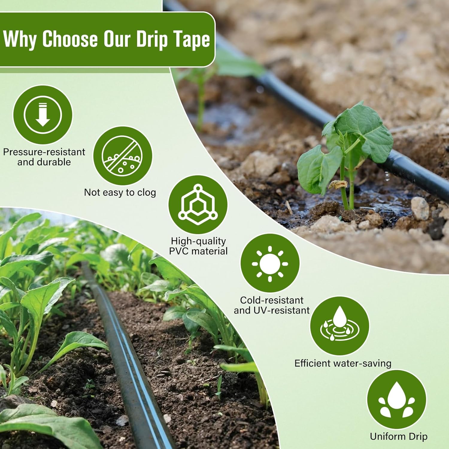 2000FT 5/8"Drip Tape Irrigation,6" Spacing Roll 16 Mil Drip Irrigation Tubing Hose,0.75 GPH/Hole Adjustable Drip Irrigation Tap,Automatic Drip Irrigation System fo Lawn Farm Plants Flowers