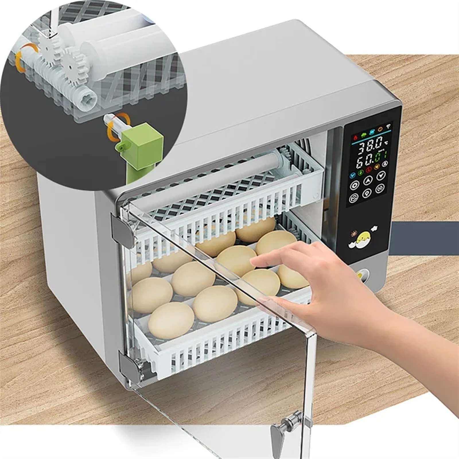 Incubadora Huevos Gallina, Incubadora Automática de Huevos para 24 Huevos, con Volteo Automático de Huevos y Humidificación Automática, Control Inteligente de Temperatura Pantalla Táctil
