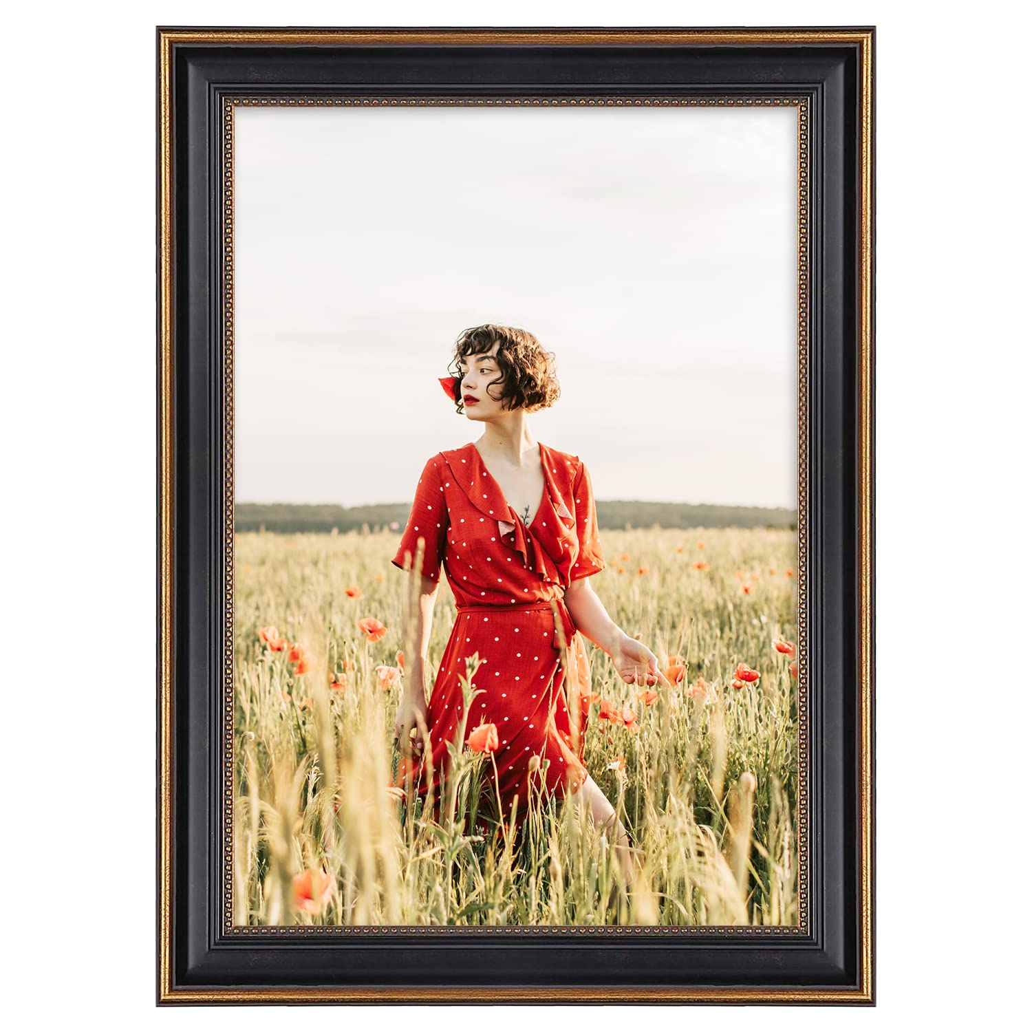 Space Art Deco, Black Picture Frame - Photo/Picture/Poster Display - Sawtooth Hangers - Wall Mount - Landscape/Portrait - Shatter-Resistant Glass (13x19, Ornate Gold Design)