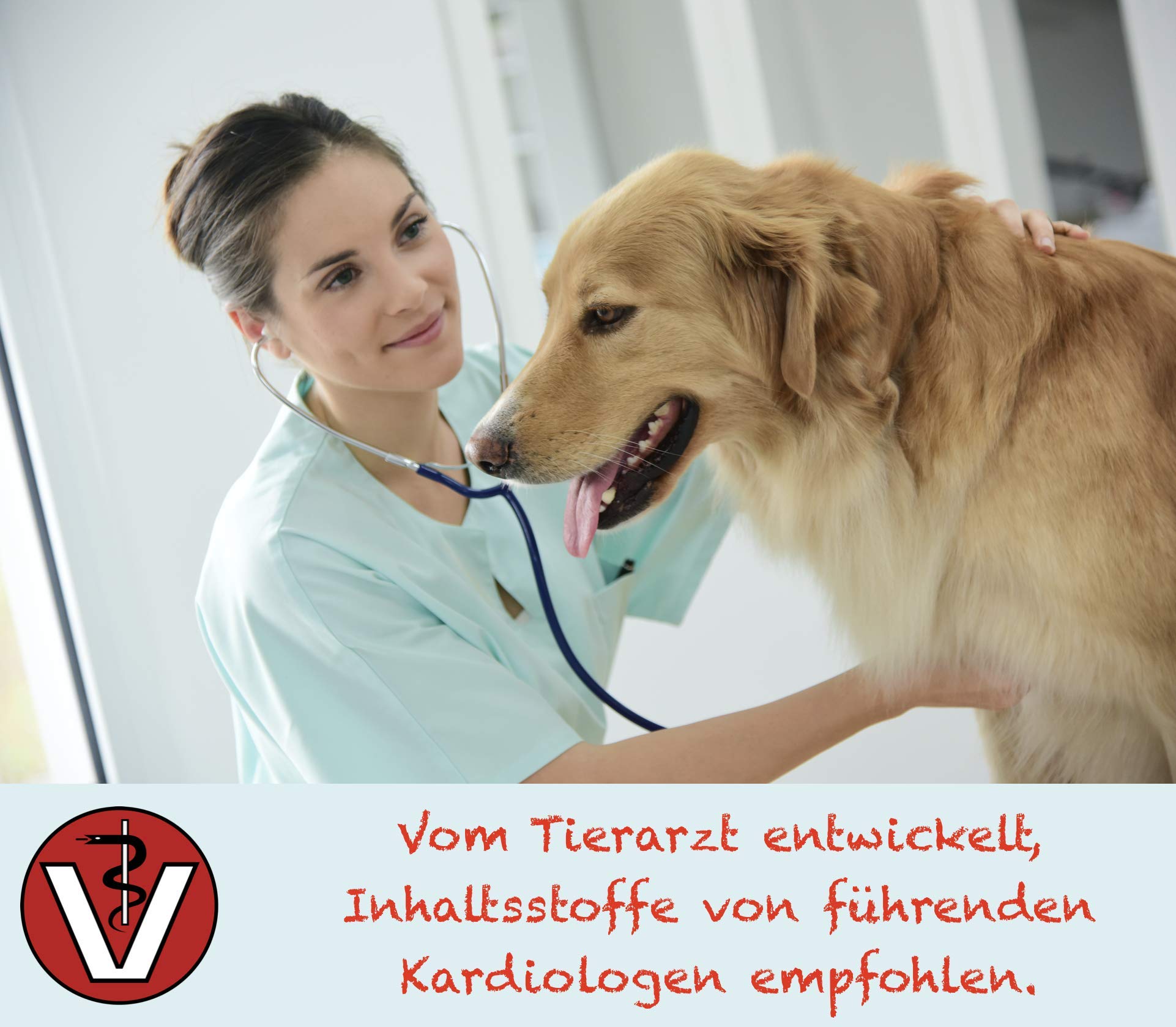 Doppelpack (200 Kapseln) CaniMove Cardio Maxi - effektive Unterstützung der Herzfunktion bei großen Hunderassen mit tierärztlicher Rezeptur