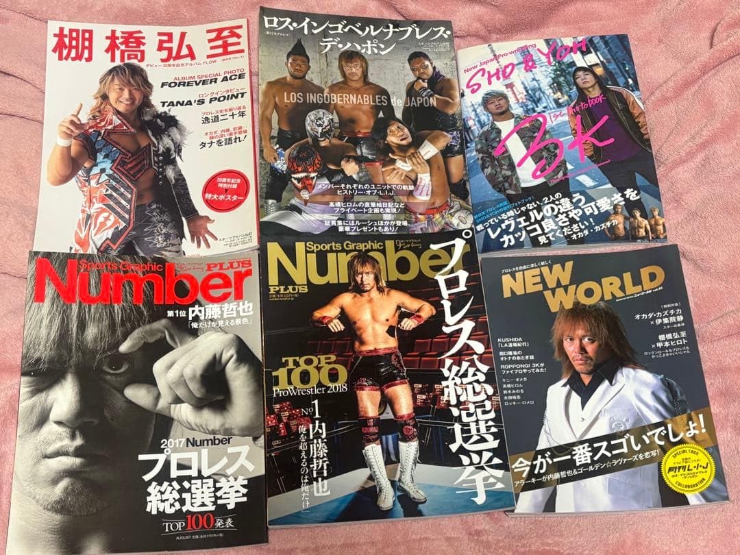 プロレス本セット(棚橋弘至ポスター、SHO&YOHフォトメイキング付き)