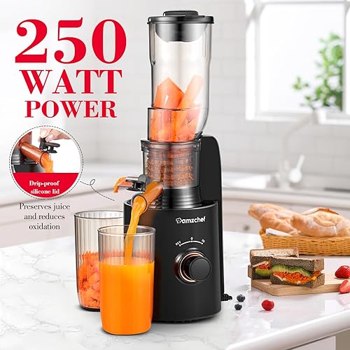 Miniatura 7 de Cold Press Juicer, AMZCHEF Compact Slow Masticating Juicer, 3.3" Wide Chute juicer machines, Upgraded Non-Clogging Filter, High Yield Juice, 250W